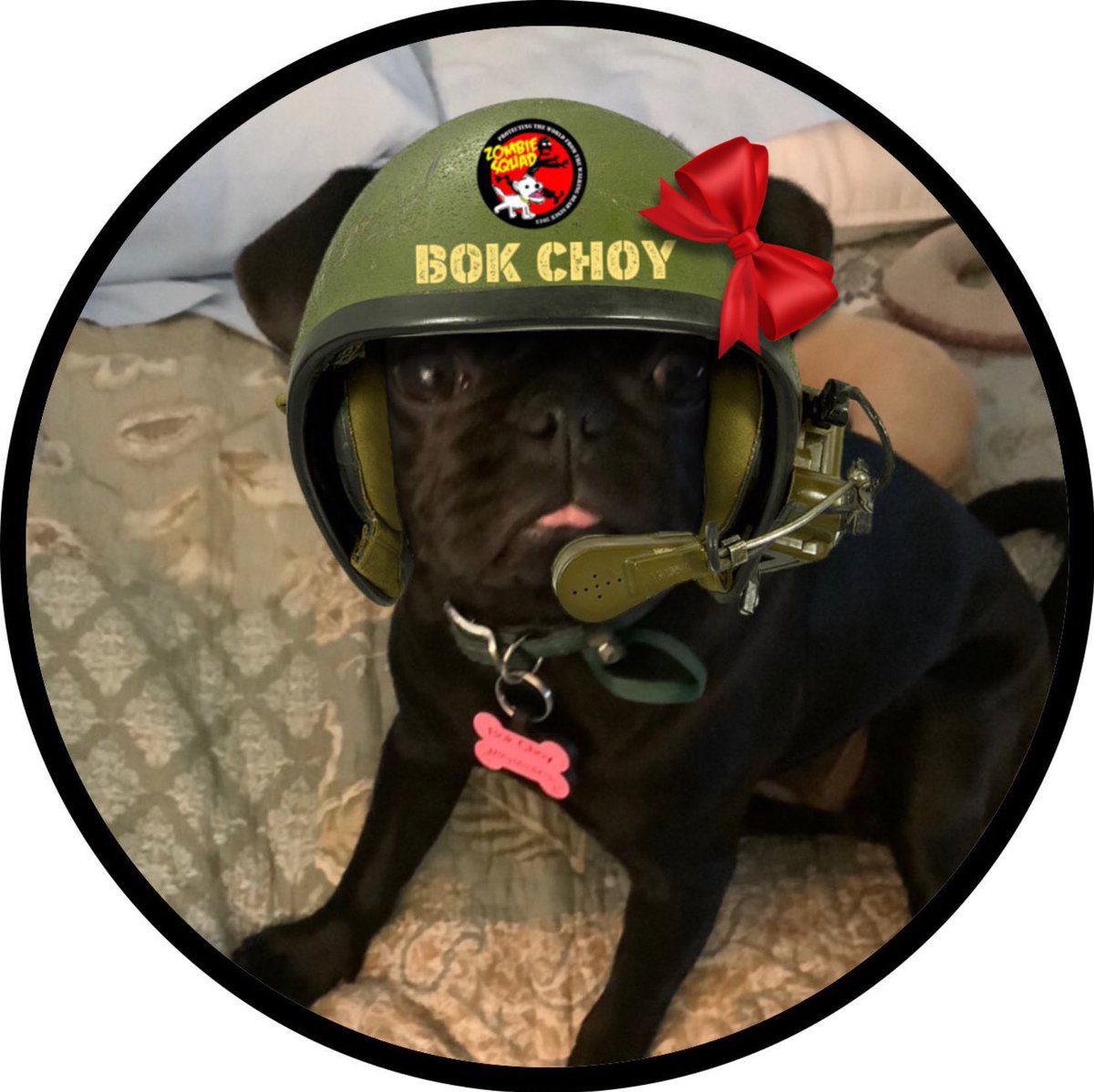 #ZSHQ #puglife @PugnatiousG today me pawtrol in honor of my friend Puggie who #OTRB🌈 Puggie and family welcomed me, mom , Lily and angel Samantha when we started. Me salute you fren. Me will miss you! 💔All safe frens me still fierce. Pug glitter left. RAAAaaa