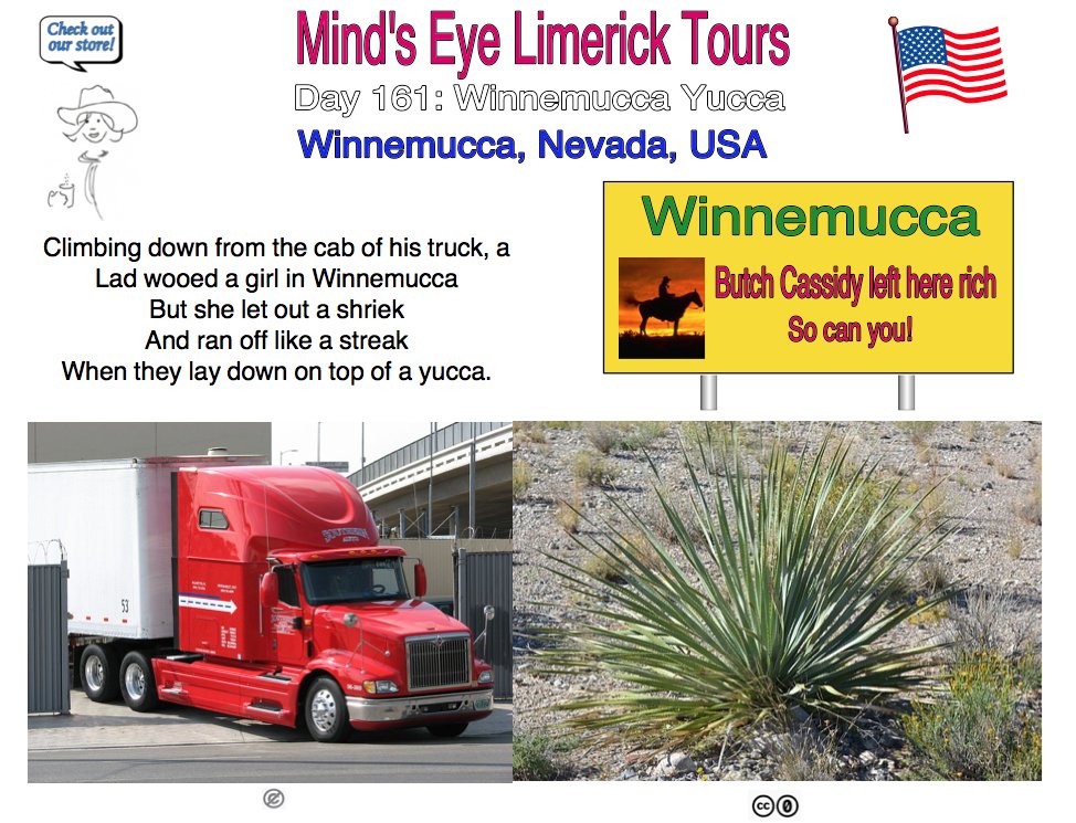 #Limerick #entertainment #humor #store #Winnemucca #Nevada #trucker #giftideas #fun #yucca zazzle.com/store/mindseye…