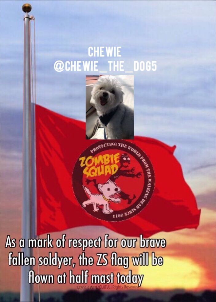 It is with a heavy 💔 that we lower the flag for @chewie_the_dog5 who has joined the #OTRB brigade 🌈 we send love and support to Chewie's family. Patrol in Chewie's honor #ZSHQ raaaaa *salutes*