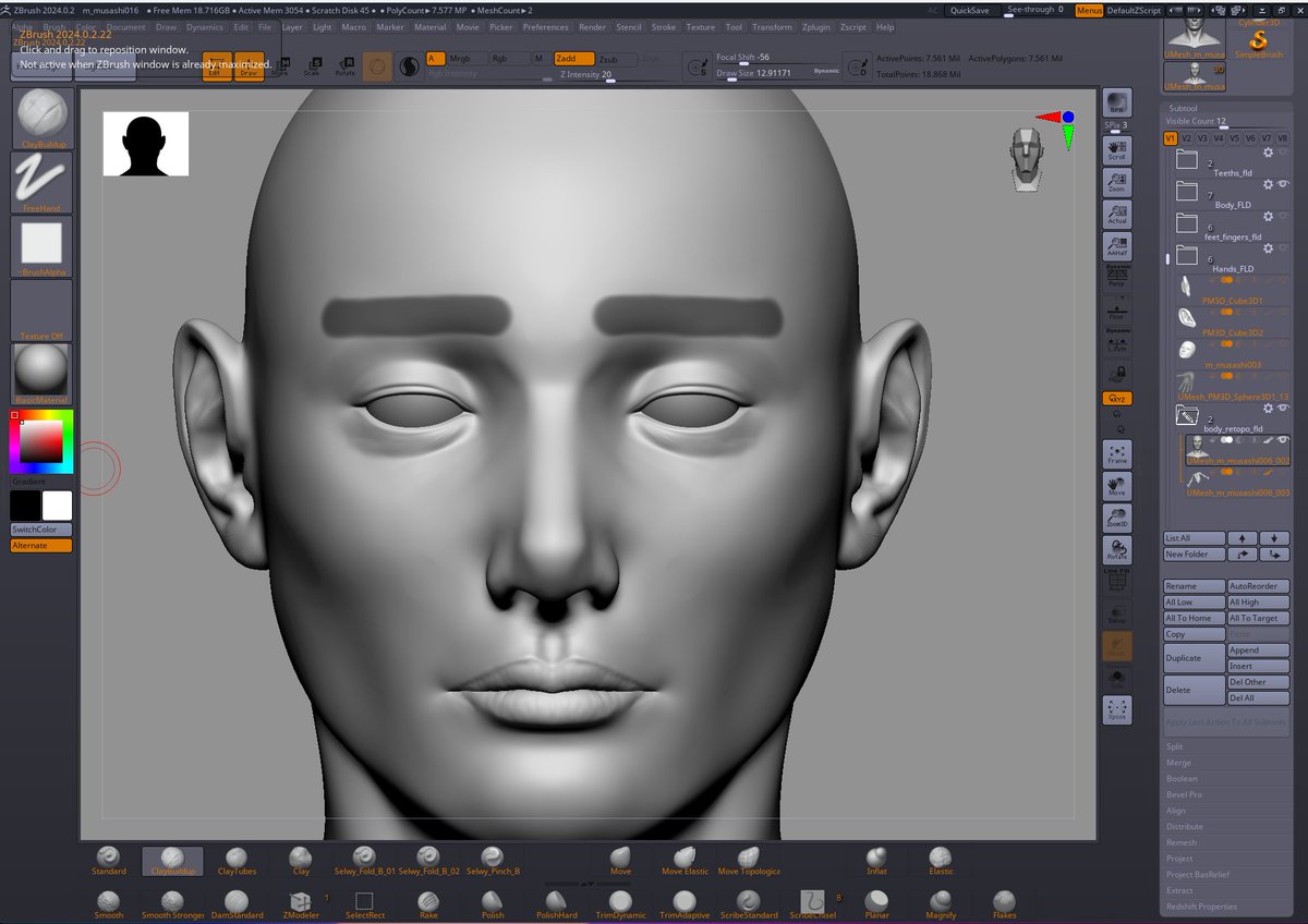 nchsoliveira's tweet photo. Musashi project moving slow but moving forward at least ahahah
Retopo was done and started to detail the head, rest of the body wont need much detail
hair is temporaly, just a sketch to help with the head and face shape/details https://t.co/Wu69DGEN8t