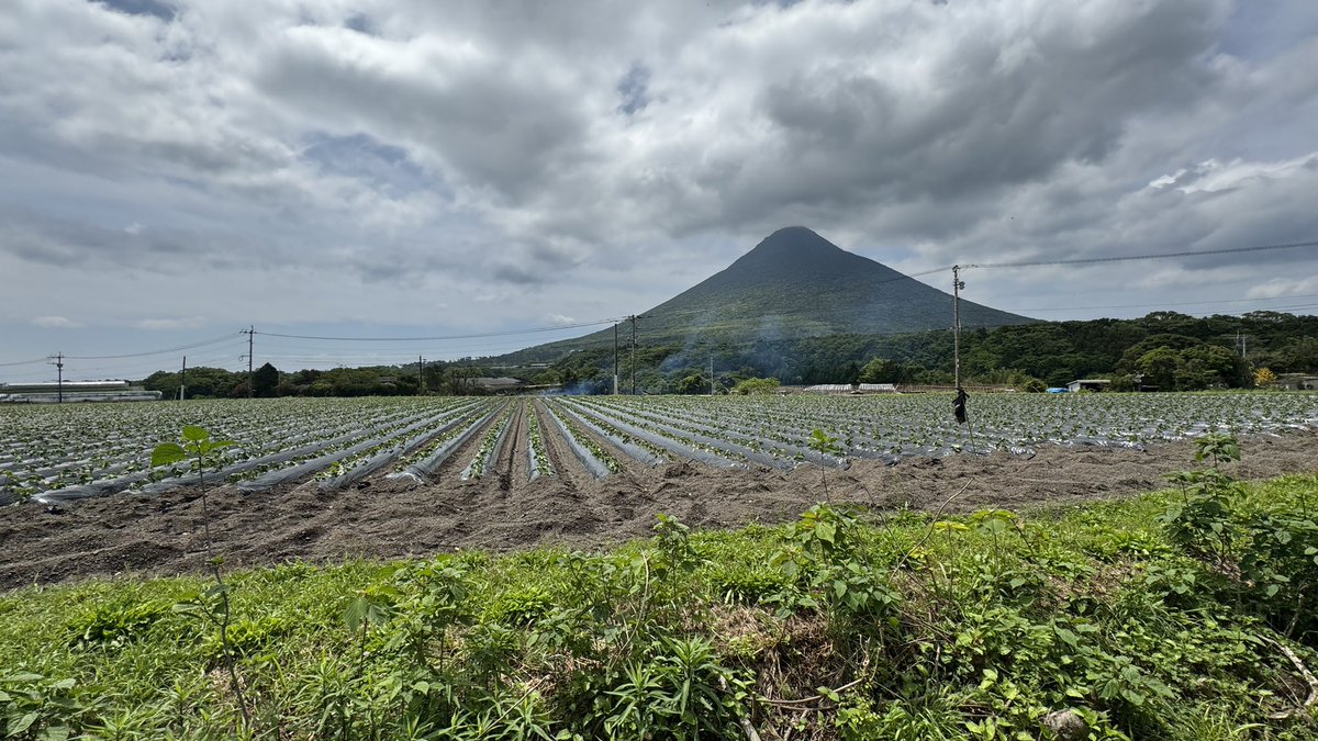 Kaimondake a dormant volcano is Southern Japan from the @jrkyushu_all_en Kagoshimachou to Makurazaki train for #allthelinesjapan #allthelinesasia