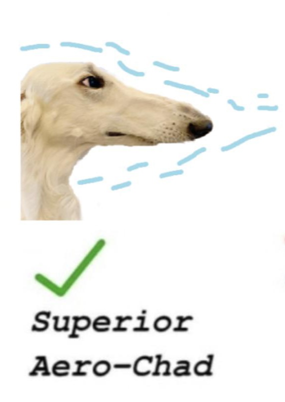 Snoot on base tweet media