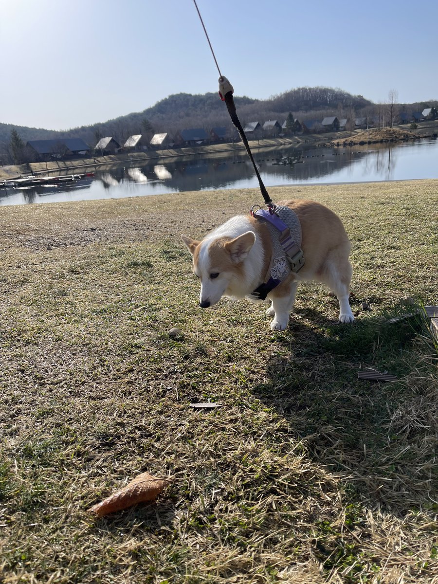 祭り後の朝