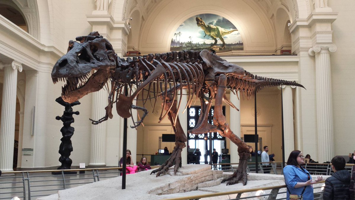 Explore Museum Campus on our #FREE self-guided walking tour! Learn about @AdlerPlanet, @shedd_aquarium,@FieldMuseum, Northerly Island and @SoldierField . evisitorguide.com/chicago/metrow….

#Chicago #museums #sightseeing #budgettravel #travel #tours #walkingtours #SightseeingMadeSimple.