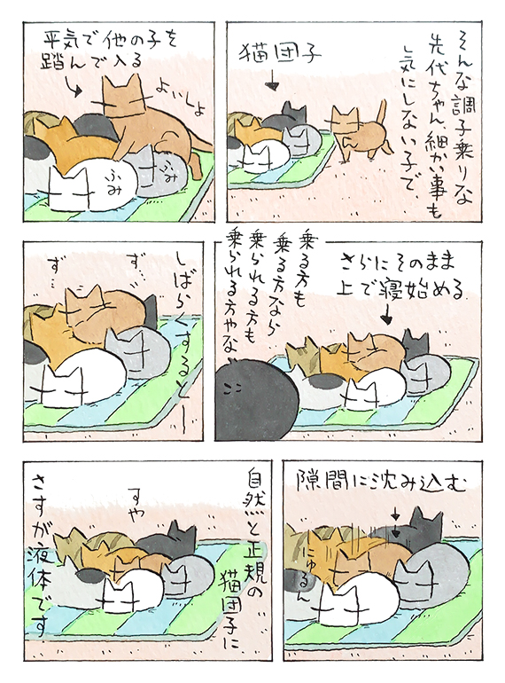 調子乗りちゃん│フェリシモ猫部 https://t.co/pY7K49X04K 