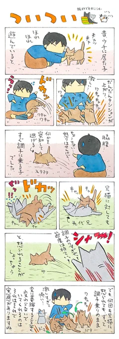 調子乗りちゃん│フェリシモ猫部 https://t.co/pY7K49X04K 