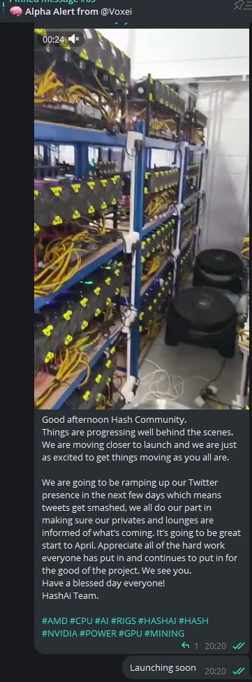 ArbitragingGain's tweet photo. $HASHAI
Perhaps one of the best plays for the group overall going from finding it very early before anyone was even talking about it to anticipating and apeing the launch ! 

11M ( Most entries were around 15 to 20M ) to 282M ATH before the market decided to nuke itself :sob: https://t.co/jckXK1Ls7v