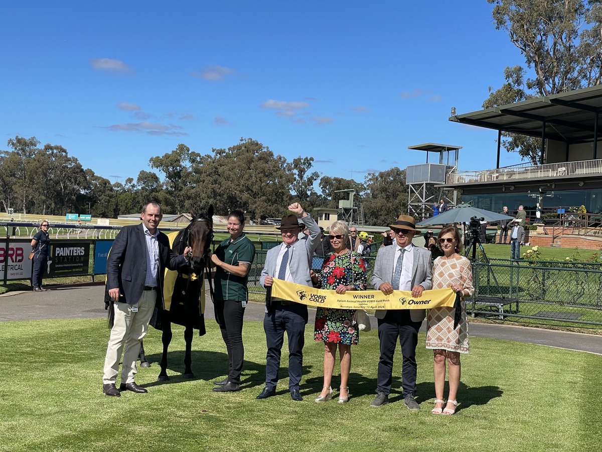 1000giggles's tweet photo. Brilliant day on #2024 @bet365 #GoldenMile 🏇🏆💛@_BendigoJC #Apiam Congrats to all winning #OwnersConnections & many thx to all patrons & well done to @PScullie #Committee & #BJC Team @Country_Racing @Racing @RacingVictoria https://t.co/8IzqUTIbSb