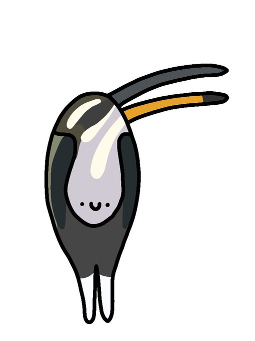 「黒目 ペンギン」のTwitter画像/イラスト(新着)