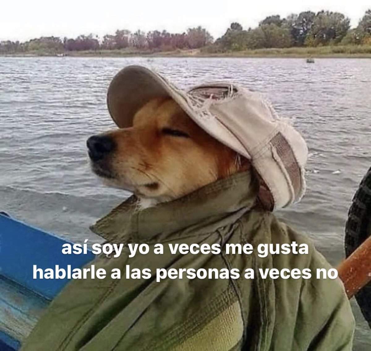 cxrrly's tweet photo. Mood https://t.co/MJfPYZ7FNA