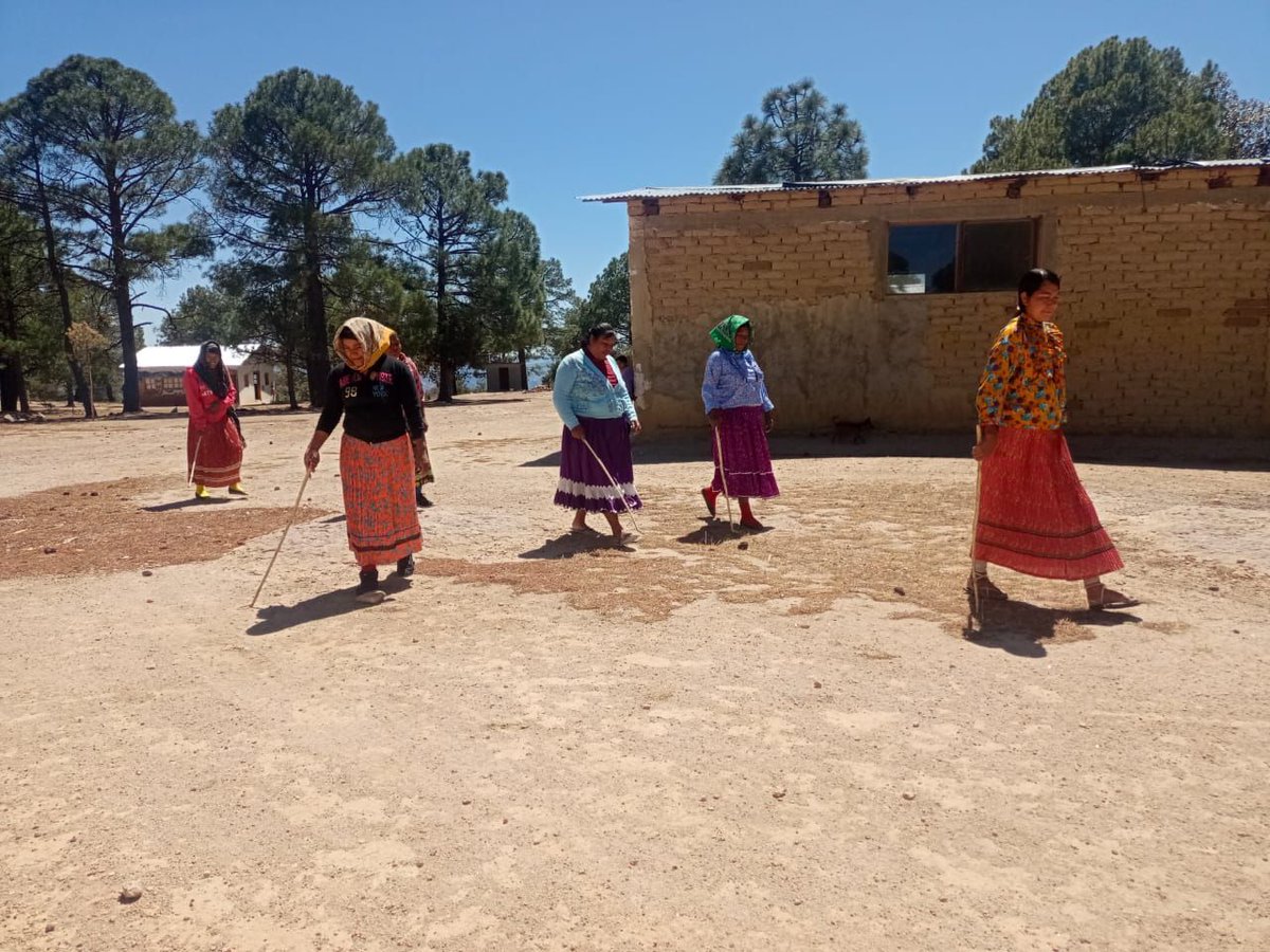 🇲🇽 En la comunidad raramuri de #Mogotavo, las mujeres están luchando para poder participar, aportar su conocimiento y defender su cultura. Proyecto en colaboración entre Awe Tibuame y el Fondo #GIResilience