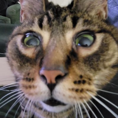 BlasterzMaster's tweet photo. #NewProfilePic https://t.co/qUGBMiUwd2