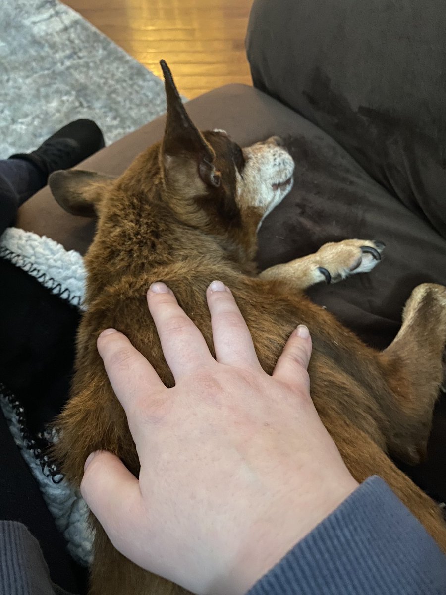 con___ye's tweet image. I’m so sad about my dog, man. RIP to the bestest and goodest boy