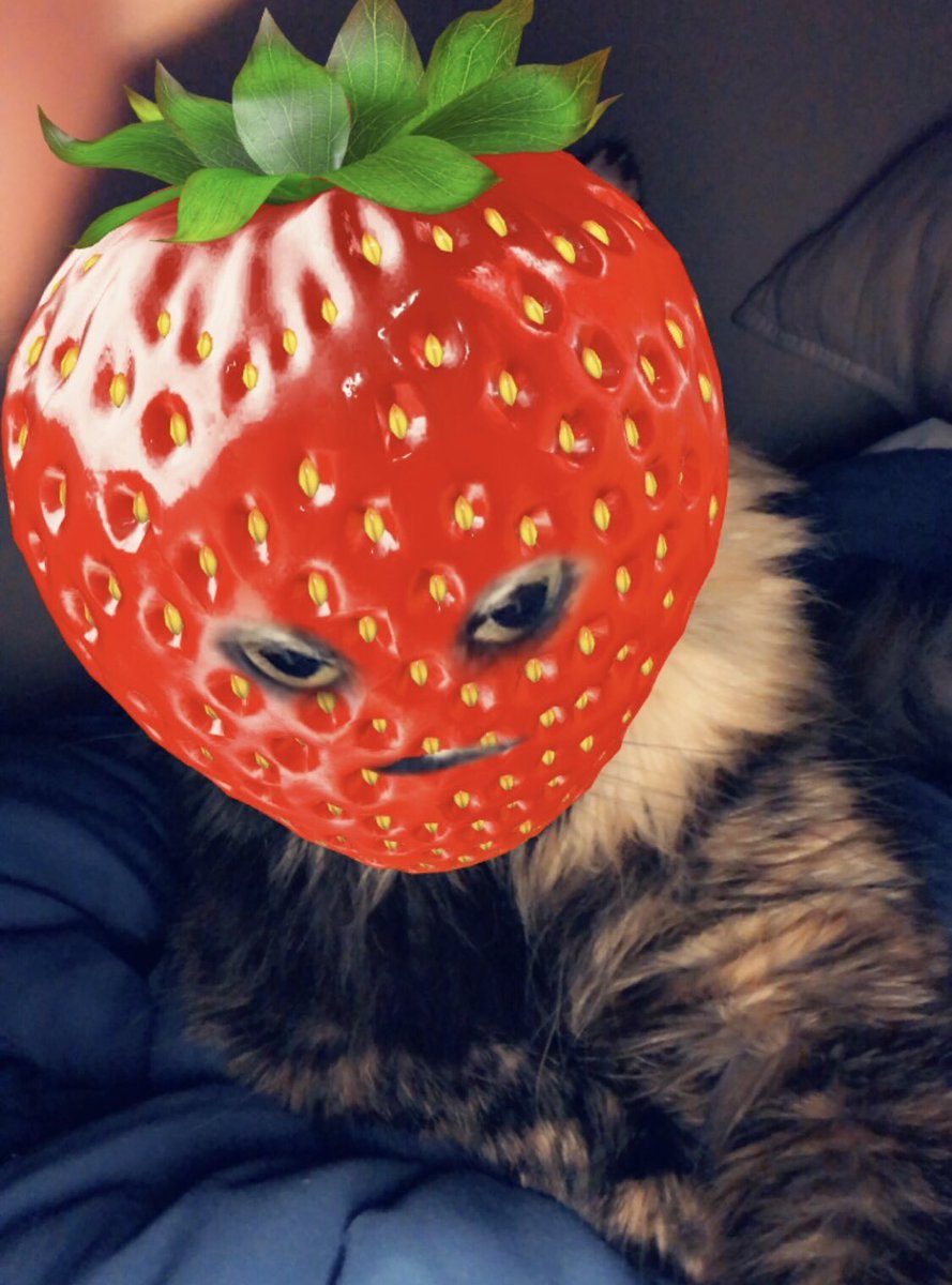 Welp, im hav been strawberryd, on acount of Im an fruit