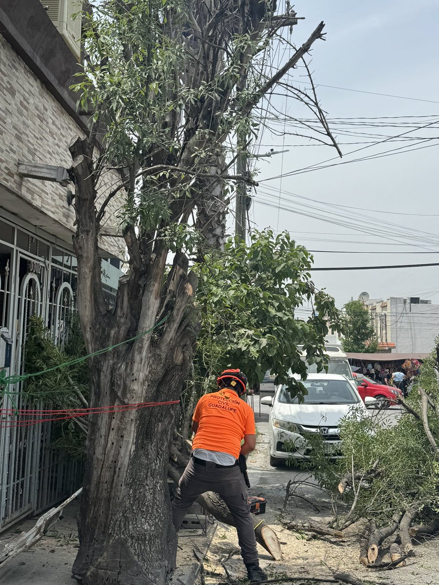 elwillybarsa's tweet photo. @Cicmty @municipiodegpe @PCGPE Muchas Gracias por su apoyo ya vinieron a tirar el aArbol que estaba a punto de caer
Ya solo faltará el apoyo para el retiro de Ramas y tronco!! https://t.co/NrUlKnr7qI