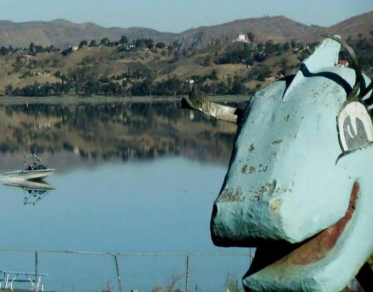 IlindaSOfficial's tweet photo. Grand Rising Everyone,
Guess who? Yep, Elsie!
A Huge Thank You to The Community of Lake Elsinore because of Y'all Uniting as a Community we now have confirmation for #BringBackElsie. More to come soon!
#CommunityUnity #ProtectElsie #lakeelsinorecaliforniacommunityunity https://t.co/cpEz4GioiD