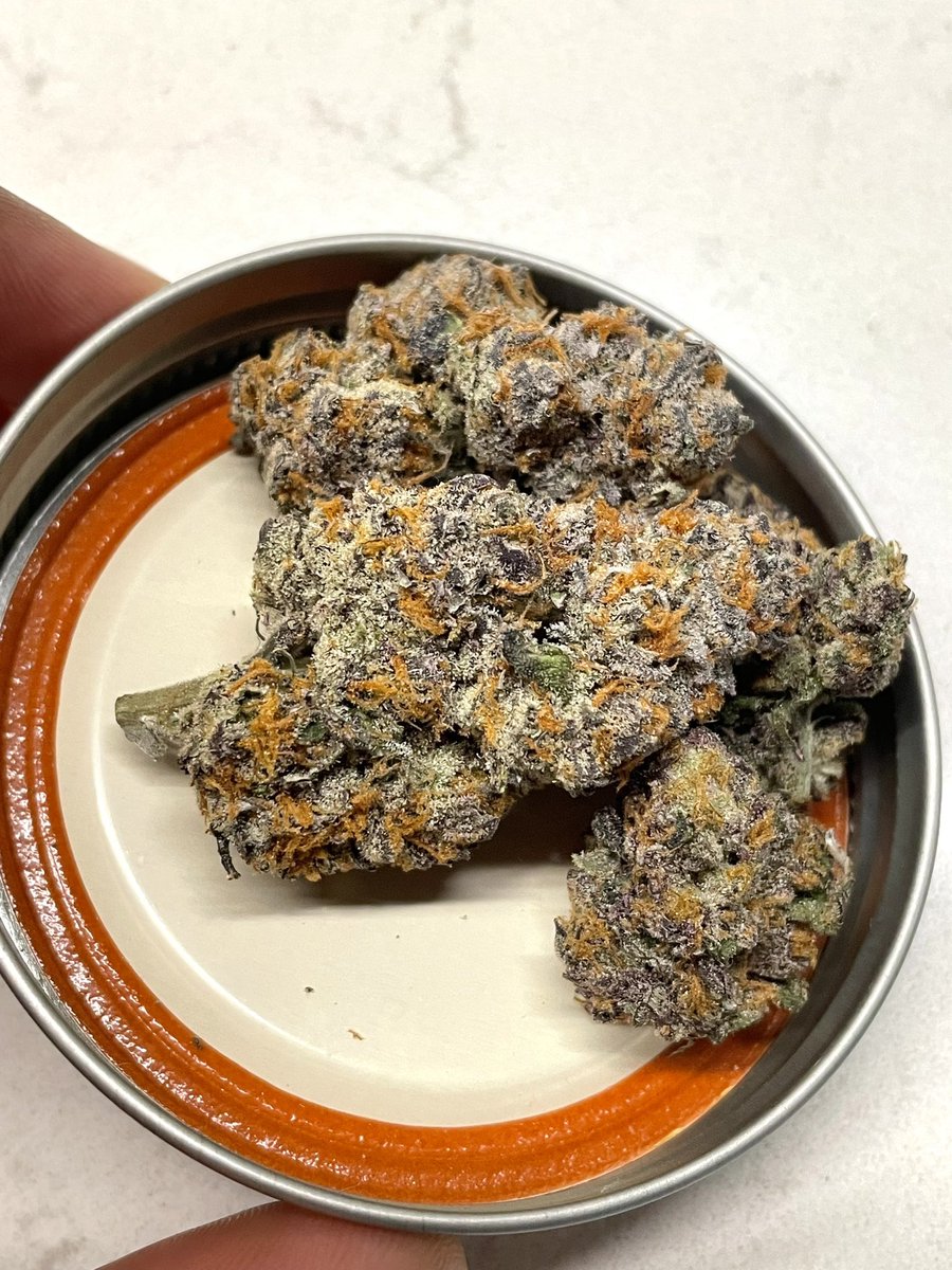 terphuntersla's tweet image. The 5️⃣🤚 (Blues Qlues x Blues Qlues) x (Double Platinum Cookies x Project 4516) Keeper Pheno #5 🍪⛽️🍧
Cultivated by #grandifloragenetics x #gulfcoastla