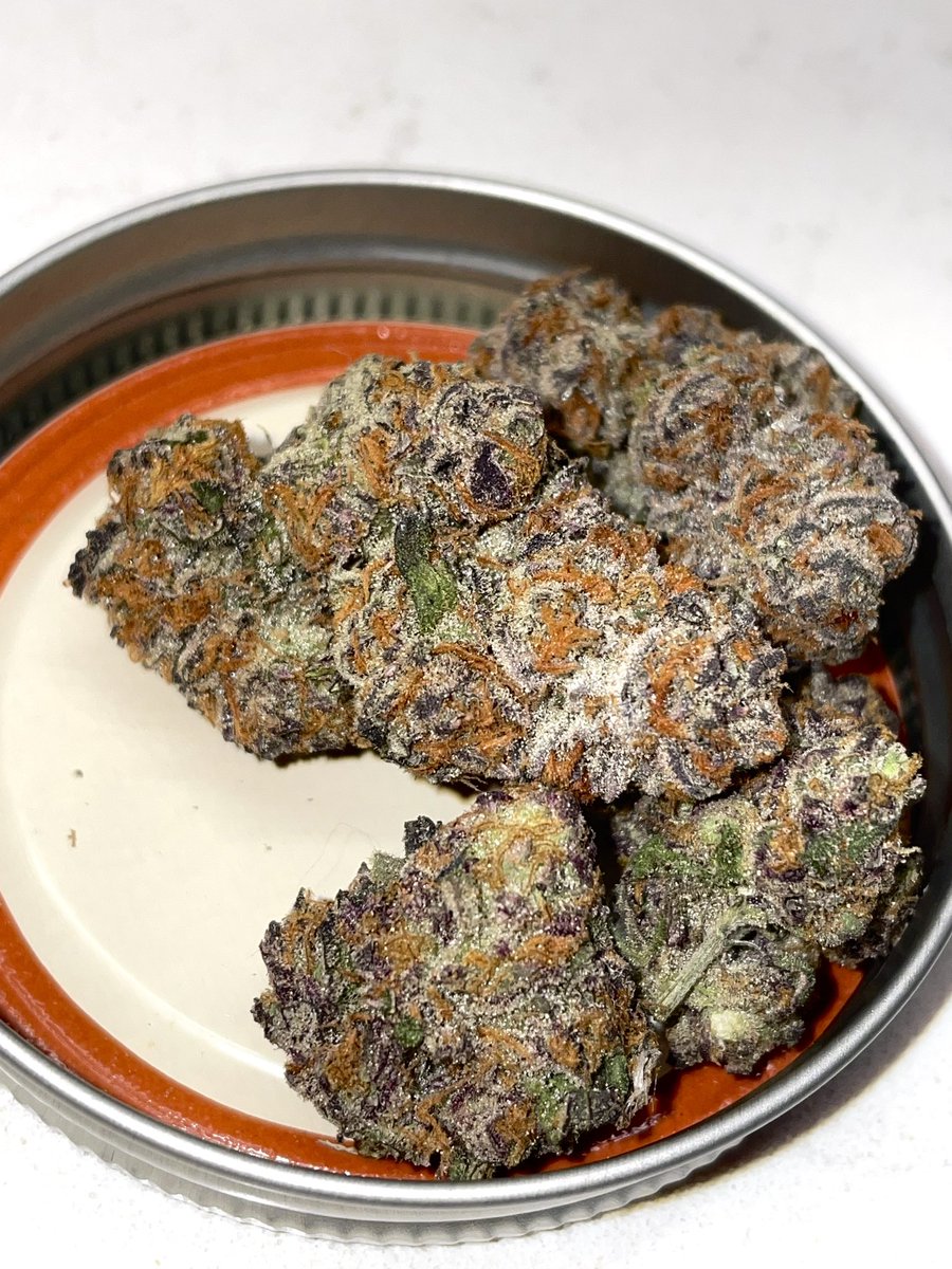 terphuntersla's tweet image. The 5️⃣🤚 (Blues Qlues x Blues Qlues) x (Double Platinum Cookies x Project 4516) Keeper Pheno #5 🍪⛽️🍧
Cultivated by #grandifloragenetics x #gulfcoastla