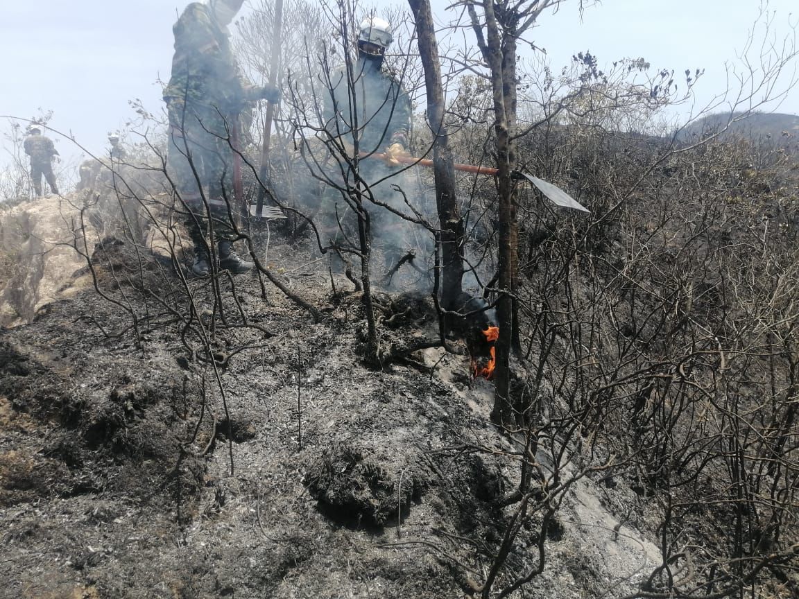 La Brigada de Atención y Prevención de Desastres y la comunidad de Mogotes, #Santander, mediante técnica de sofocación, liquidaron focos secundarios de un incendio forestal que se presentó en el sector, donde se afectaron alrededor de 25 hectáreas. #ProtegemosLaVida