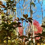 Photo by @Plants4Space (@plants4space)