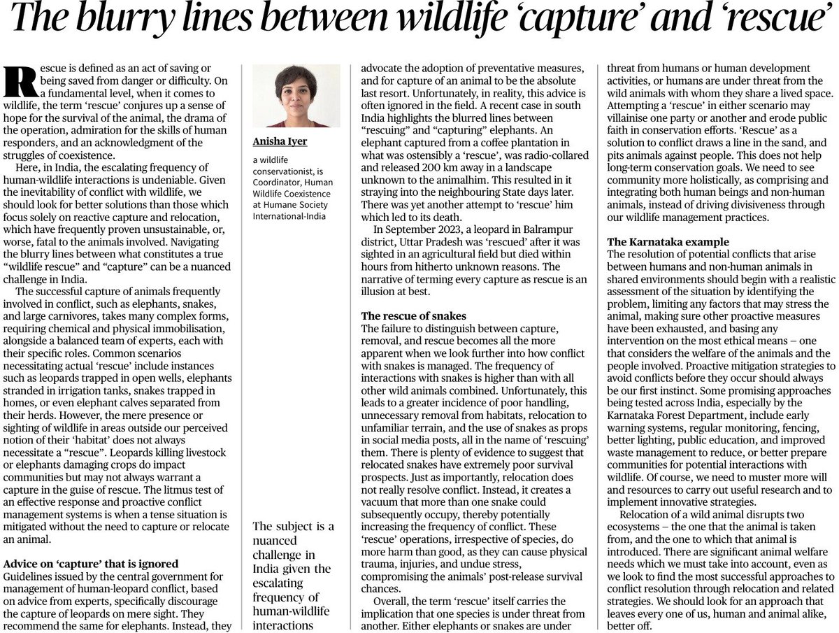 Do read this. Biologist Anisha Iyer on the costs of unthinking wildlife 'rescues'. As we see with a clutch of forest departments, claims of rescue can easily be used to advance other ends. Do read. thehindu.com/opinion/op-ed/…