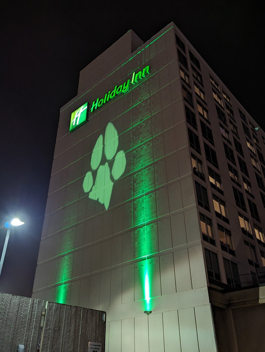 Lycaos_Wolf's tweet photo. Very welcoming hotel! https://t.co/WDc8qoDb54