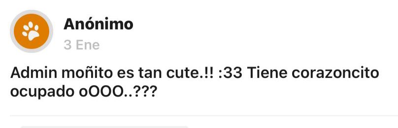 ccsanwio en vacaciones! tweet media