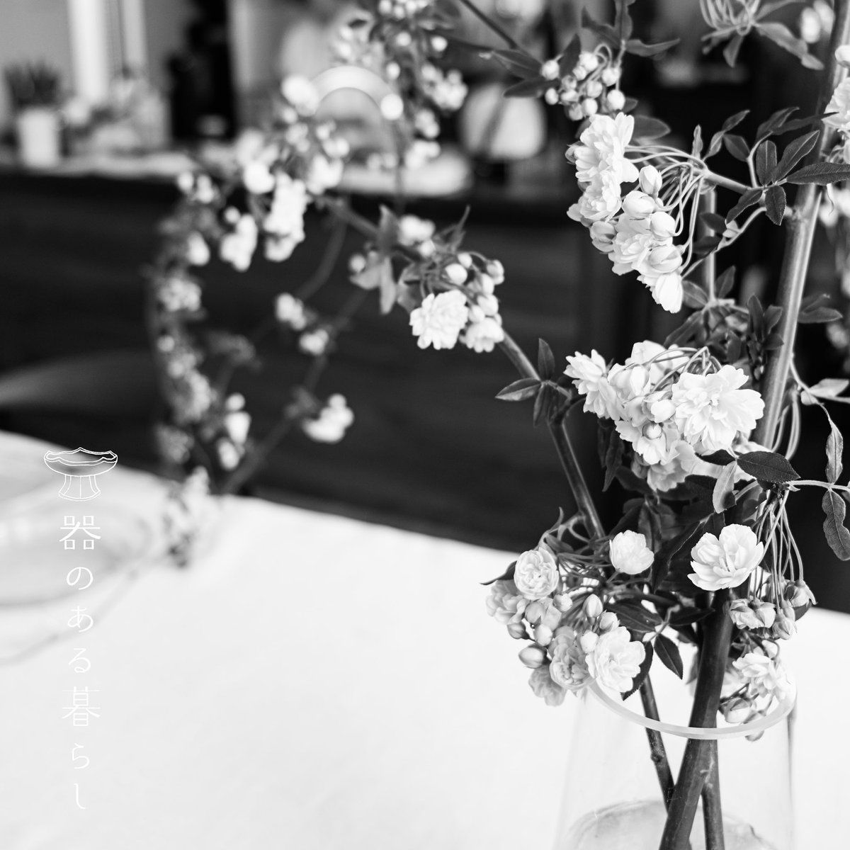 lifewith_utsuwa's tweet photo. おはようございます☀
皆様いかがお過ごしですか？
こちらはお花見は今日ぐらいまでな感じです。今東北は満開みたいですね🌸
さて、今日新しい動画を15時に公開致します🎞
お花見や外レジャーのお弁当にも最適な、簡単お料理も取り入れたメニューです🌿
是非ご覧ください🙏
#器のある暮らし https://t.co/hkNHKrmH5y
