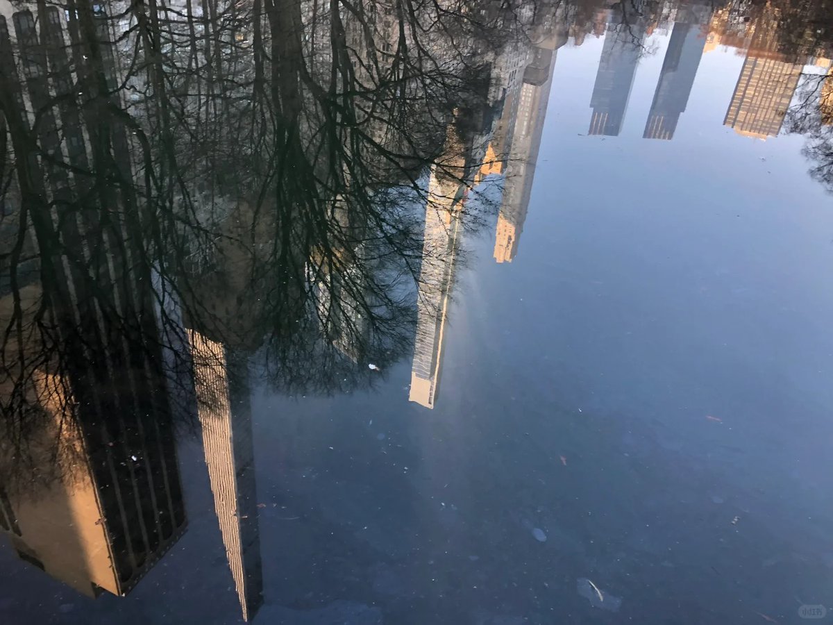 Richcscarrell's tweet image. Tidlig morgen i New York
#Central Park, New York