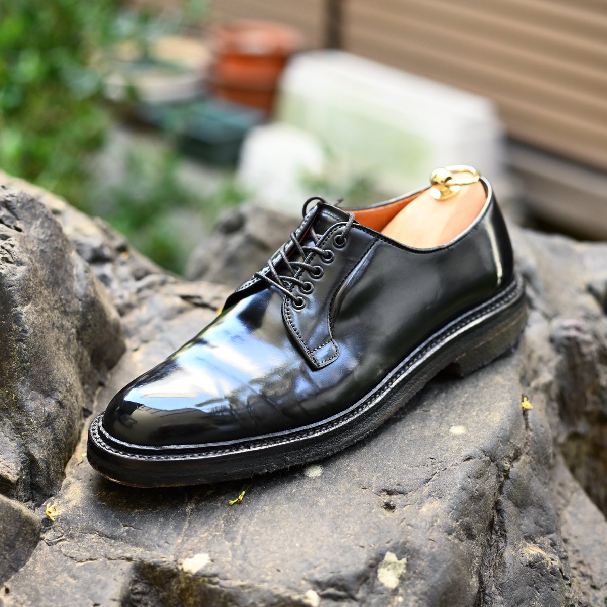 Alden 今週履いた靴 黒のコードバンも良いです。 #shoes #mensshoes #shoecare #shoeshine #紳士靴 #革靴 #靴磨き #シューケア #シューシャイン #alden #オールデン