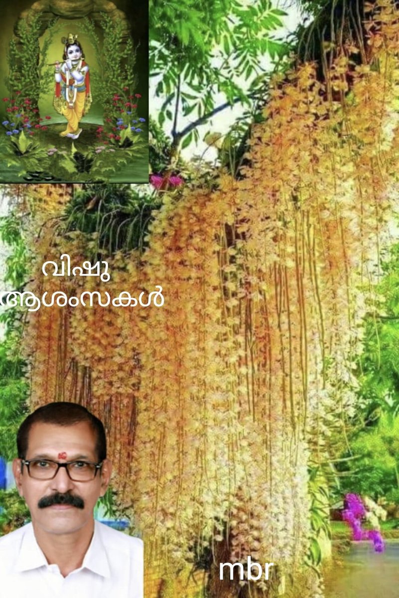 rajagopal_mb's tweet photo. വിഷു ദിന ആശംസകൾ . https://t.co/WfbavCk55Y