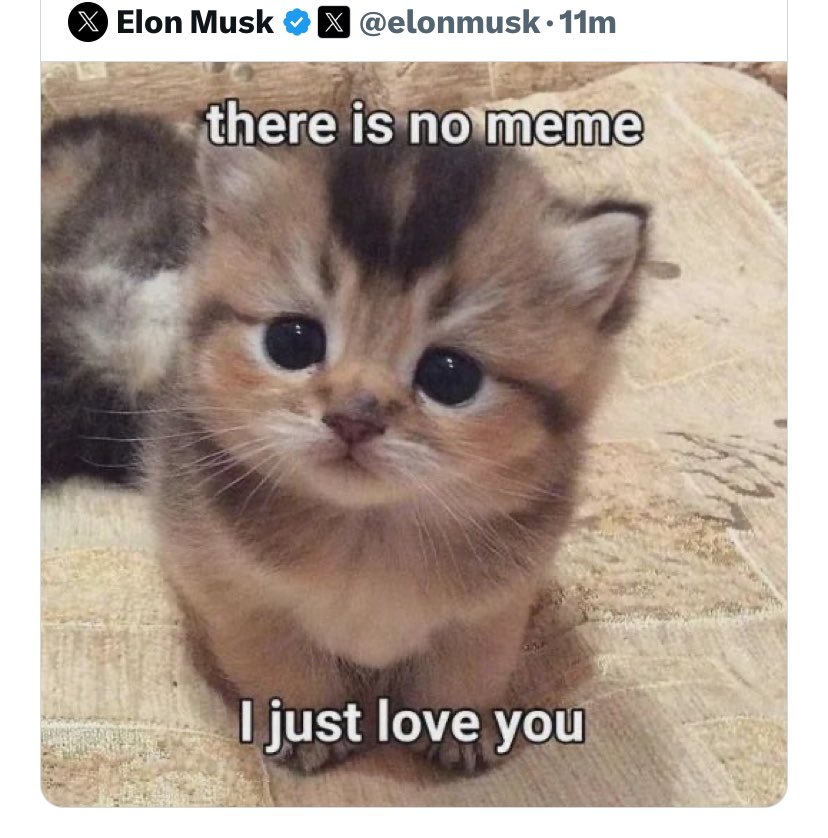GAV_OG's tweet photo. 🟢Time to join a narrative and community pushing nothing but LOVE. Super Low MC and as tweeted by @elonmusk so you know $GABBY is going to shine sooner than later. Beat the FOMO @GabbyCatETH ❤️🐈🚀📈🟢 https://t.co/iJ4c4ZXTMG