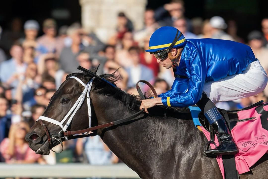 sweetcat_kitty's tweet image. @godolphin 🎉
•
🇺🇸 #Encino (by #Nyquist) takes the G3 Lexington Stakes @keeneland for @bradhcoxracing, @fgeroux and #TeamGodolphin! 🏇🌹

📷: @matheakelley