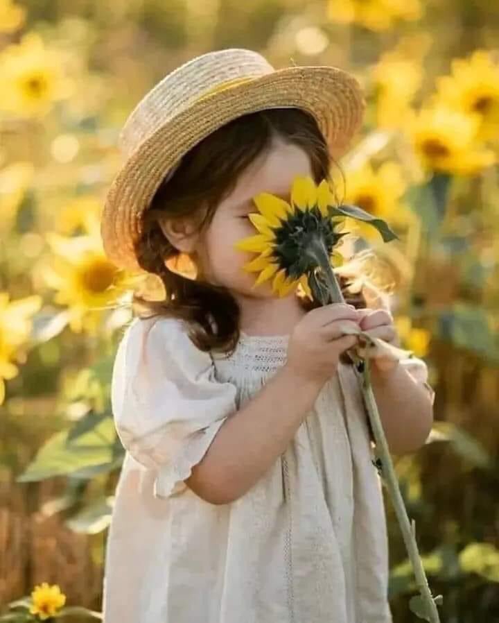 Raya_Fathoni's tweet photo. ...🌻

อย่า"โฟกัส"
ทุกรายละเอียด
อะไรผ่านได้ก็ผ่าน
อะไรข้ามได้ก็ข้าม
บางอย่างความเบลอๆ
เป็นสิ่งสวยงาม

ถ้าคุณไม่เชี่ยวชาญ
ศิลปะแห่งการเพิกเฉย 
คุณจะสูญเสียอะไรมากมาย 
และความสูญเสียแรก
จะเป็นเรื่องสุขภาพ
และรอยยิ้มของคุณ..

  ✨🕊️

ศรัทธาที่หล่นหาย https://t.co/yhB2zewLQH
