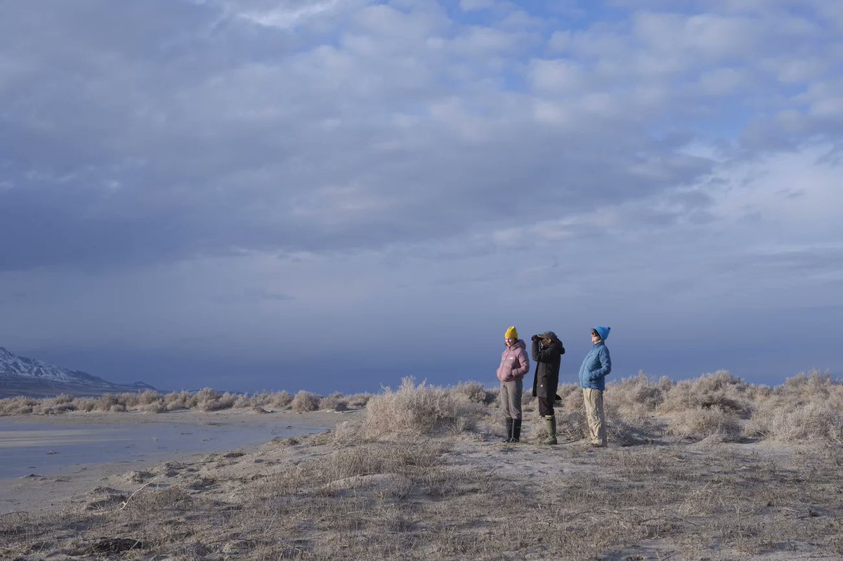 he Great Salt Lake is drying up! Biologists are witnessing drastic changes to bird habitats due to climate change & water diversions. The fight is on to save this crucial ecosystem. bit.ly/4aSIOUX @KirkSiegler #Conservation #ClimateCrisis #Drought