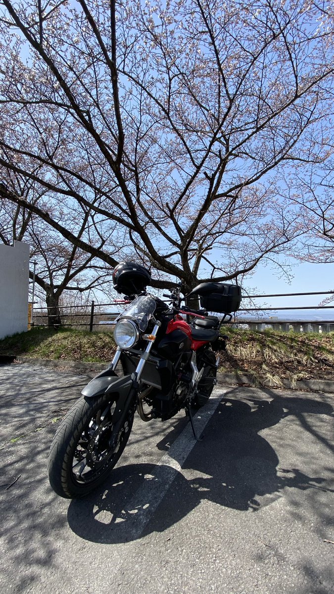 花見をするにはまだ早い我が地元
春を探しに行くぜよ🌸