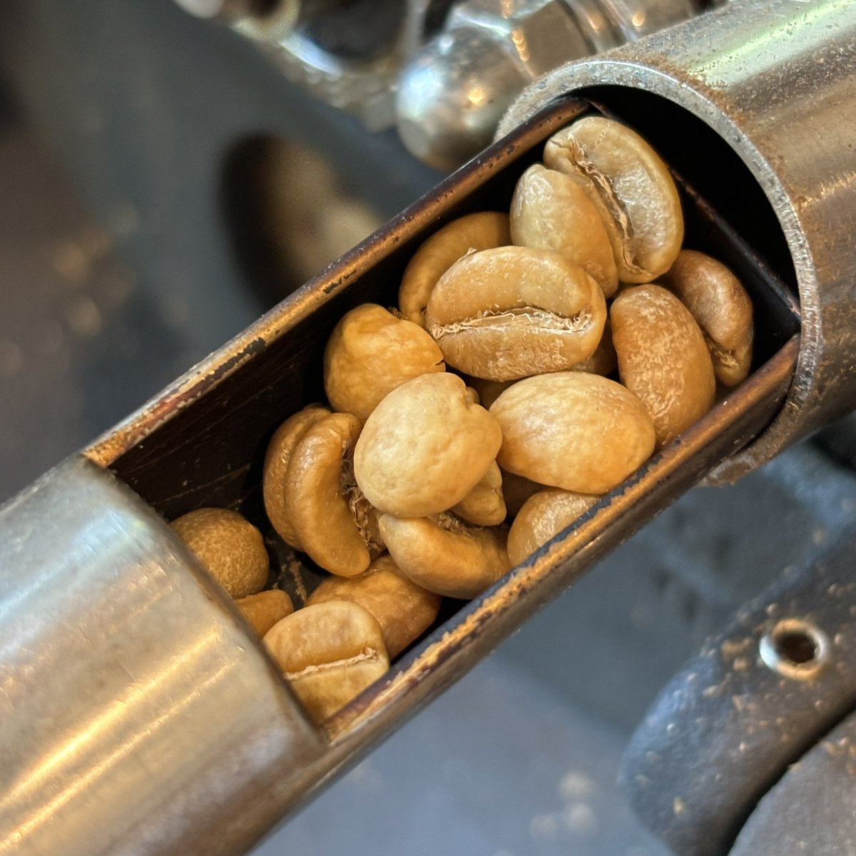 cafemouton's tweet image. Rwanda AKAGERA Bourbon Washed ！

#coffeeroasting