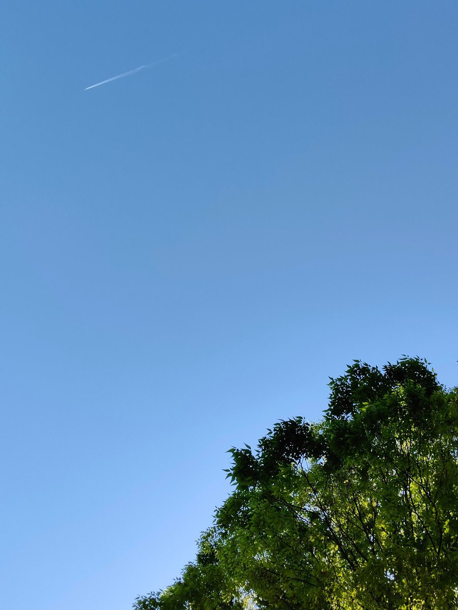 kenta27's tweet image. #oppofindx3pro
#OPPOカメラ部 #写真好きな人と繋がりたい #ShotonOPPO 

#初夏