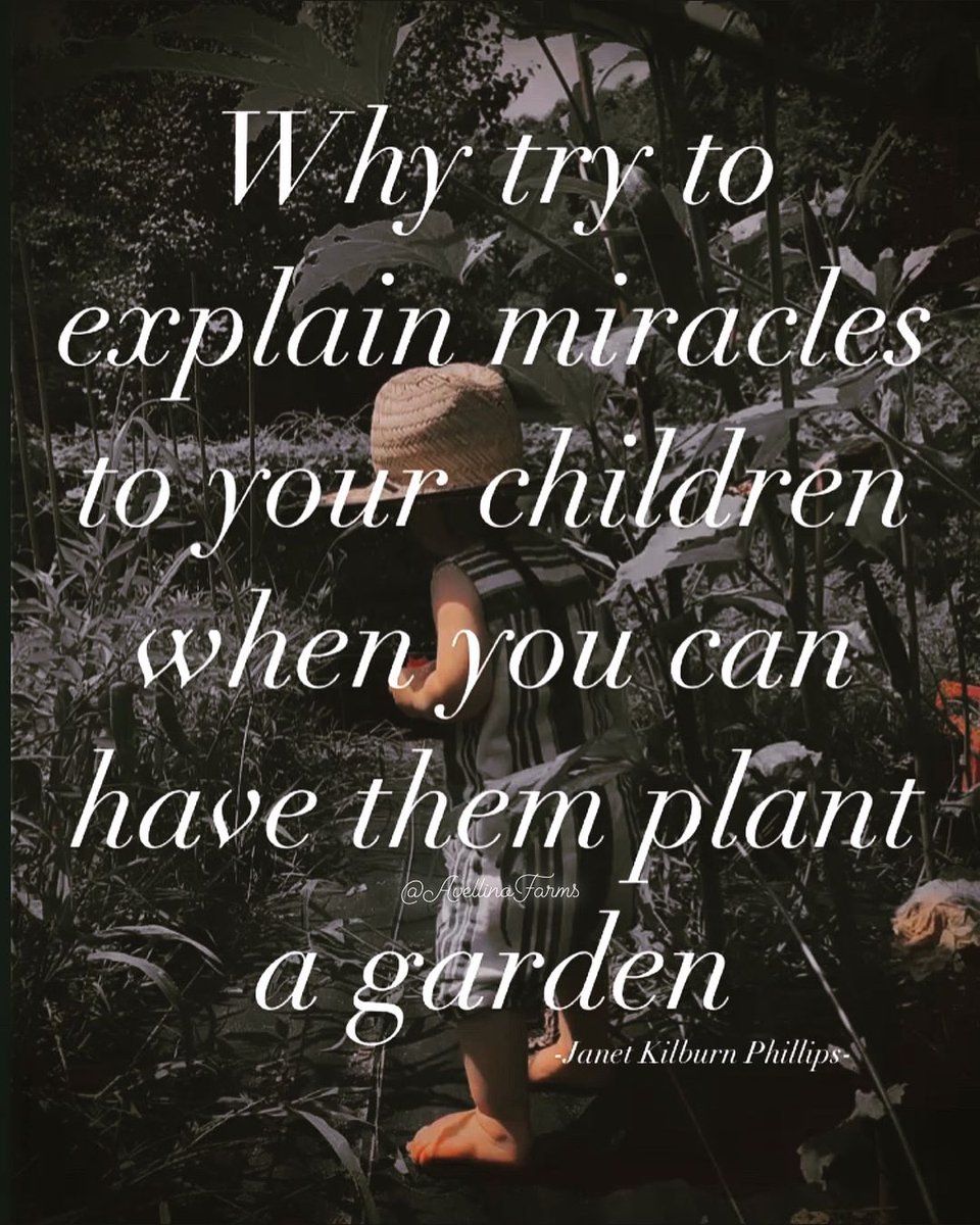 #miracles #yourchildren #plantagarden