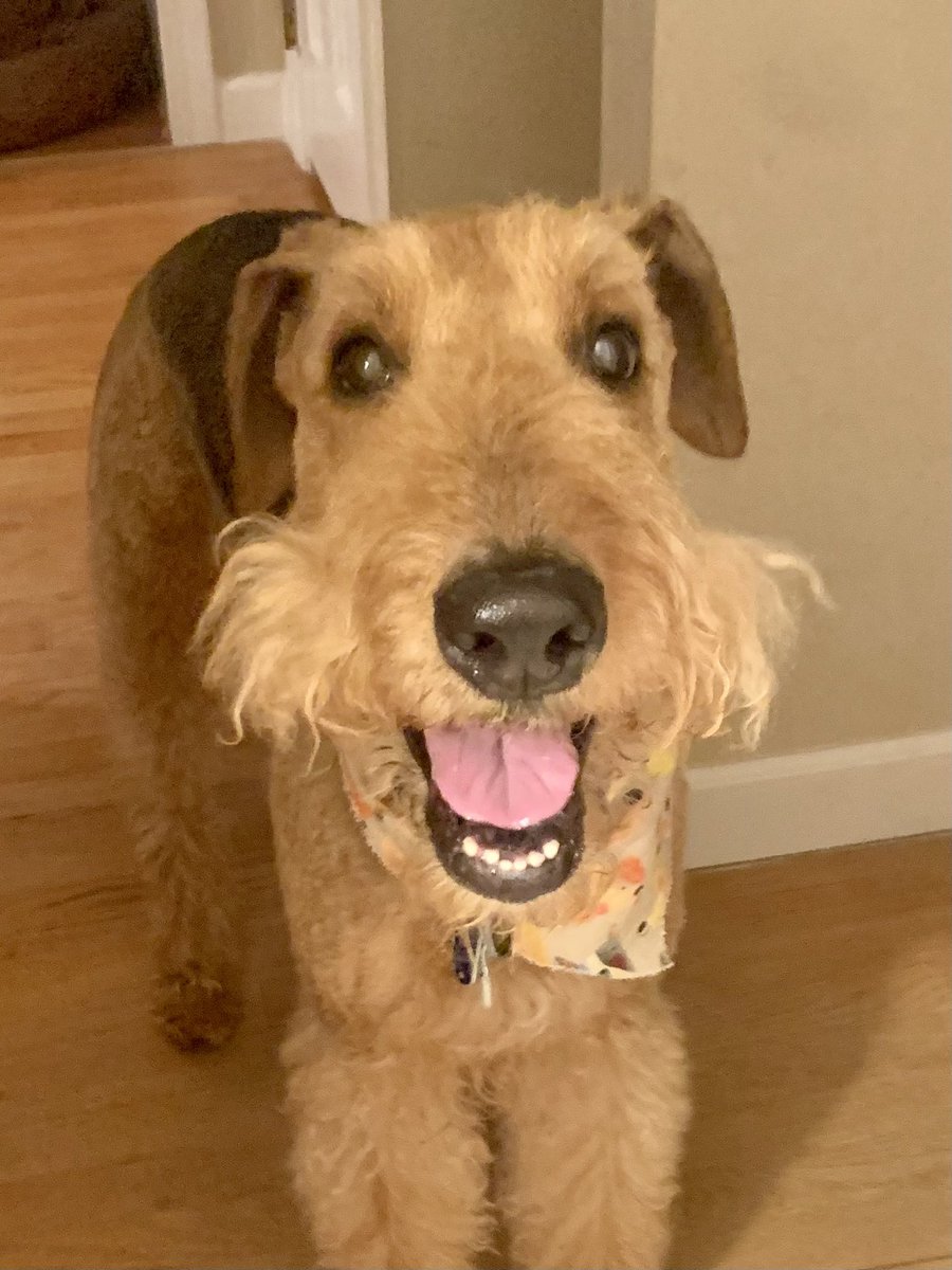 Hi Pals. Hope you are well. ❤️🐾