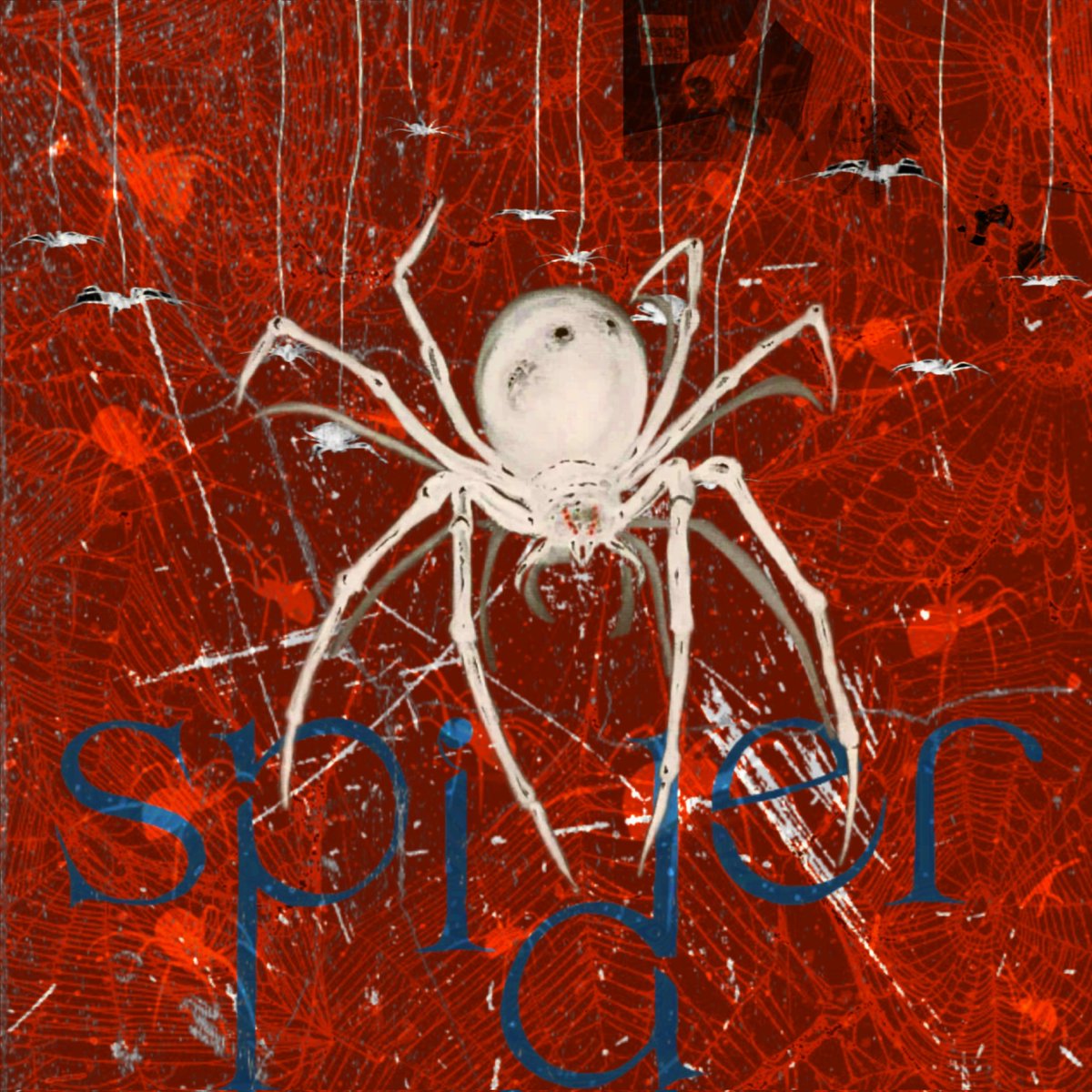 New Tape 'Spider' 
Still haven't figured out a release date.
Lmk if you wanna single first!
#discoverypage
#trending 
#trendingmusic 
#trendingpage 
#newmusic 
#Musician 
#foryou
#hiphop 
#rap 
#rapper 
#single 
#typebeat 
#tybebeats 
#hiphopmusic 
#hiphopbeats 
#musicproducer