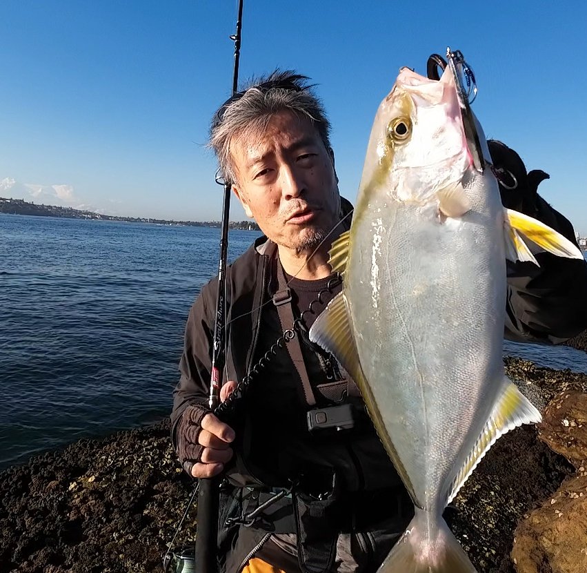 gogogofishing's tweet photo. ショゴ　カンパチの子　こっちではショアではかなり珍しく初めて釣りました　#24ツインパワーC5000XG リーダー　#duel #魚に見えないピンクフロロ　
#Rodcom #bozles TG TOKICHIRO30g https://t.co/GCWrGG2EHx