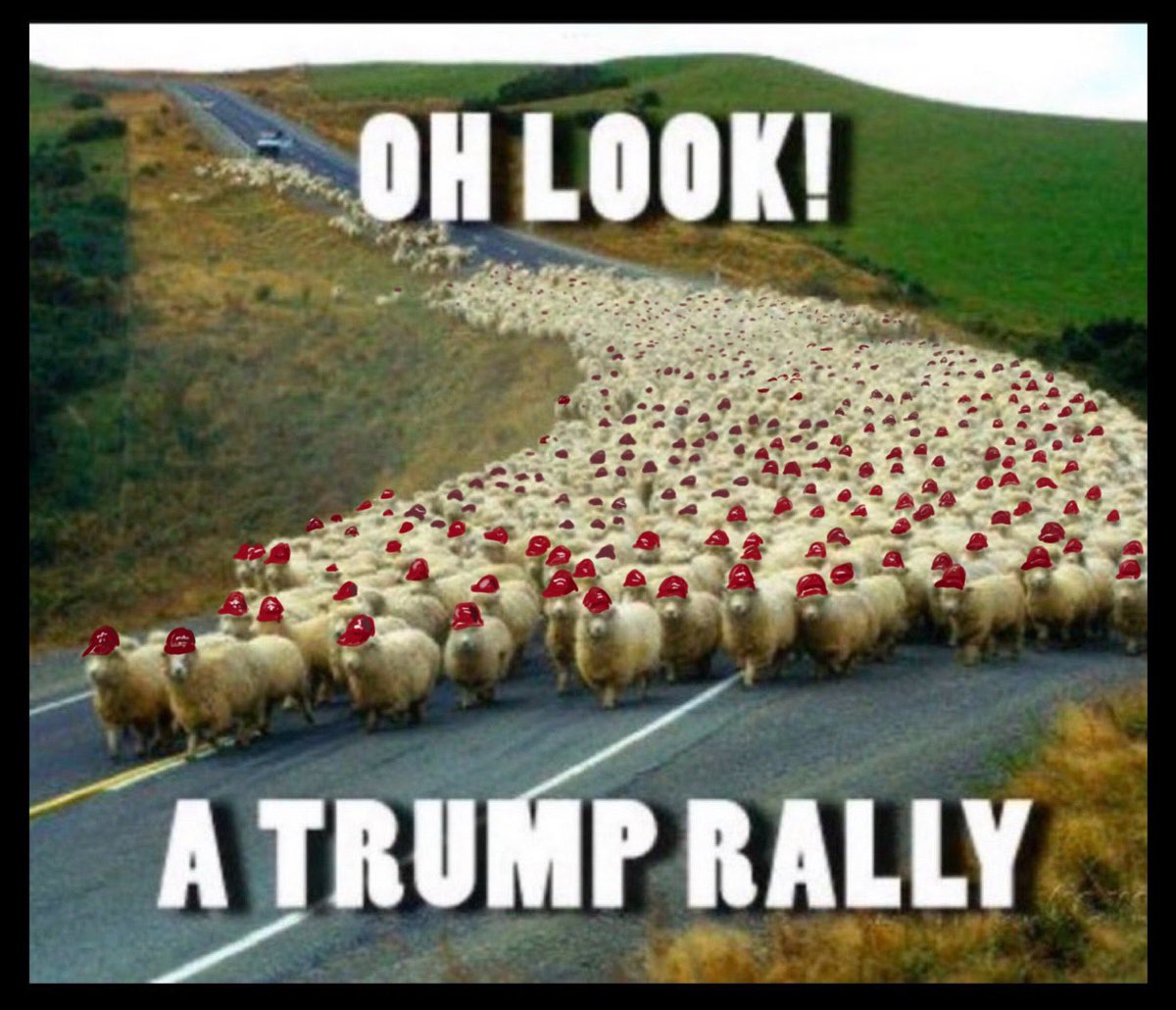 At least it’s a better looking crowd. Wearing 100% wool is the only good idea they’ve come up with for quite awhile. ;- )