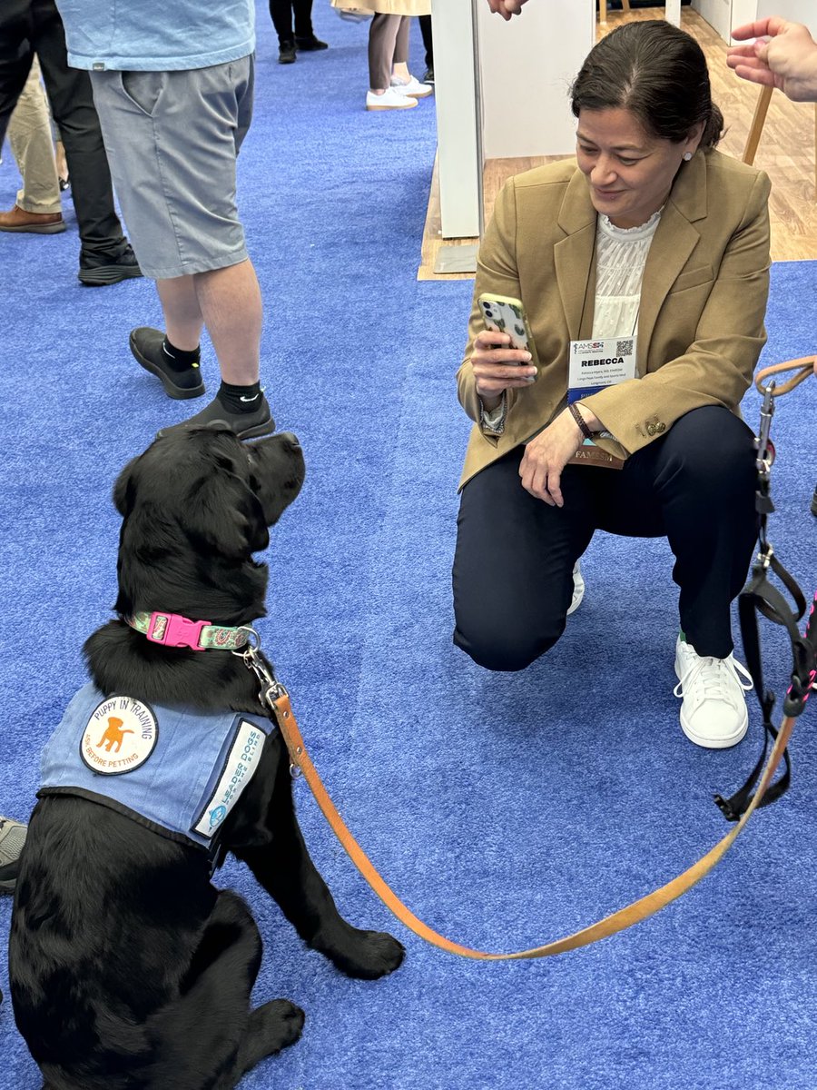 Two leaders admiring each other - Bailey the black lab training to be a lead dog, and Rebecca Myers MD, incoming ⁦@TheAMSSM⁩ President. #AMSSM2024 moments