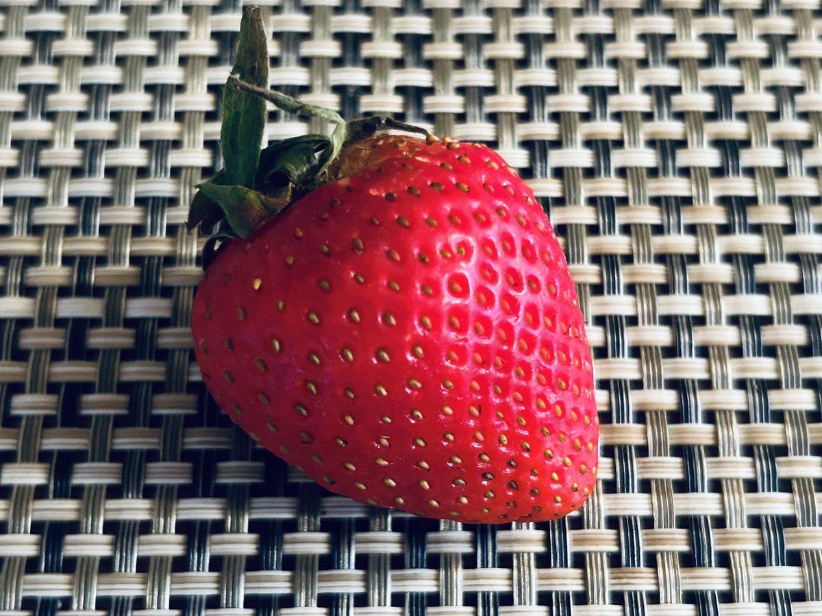 Philosophy Twitter needs to do a better job explaining why ‘exists’ & ‘does not exist’ matter in a variety of situations which don’t involve two people in a room with a strawberry they can’t pick up & eat.