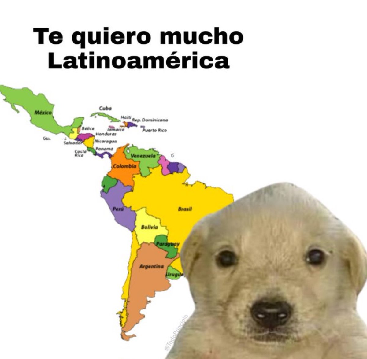 HelverHafc's tweet photo. Empiezan la Tercera Guerra Mundial entre Israel e irán y recuerdas que nadie quiere tirarle bombas a Latinoamérica 😇 https://t.co/nnj3xTM0kI