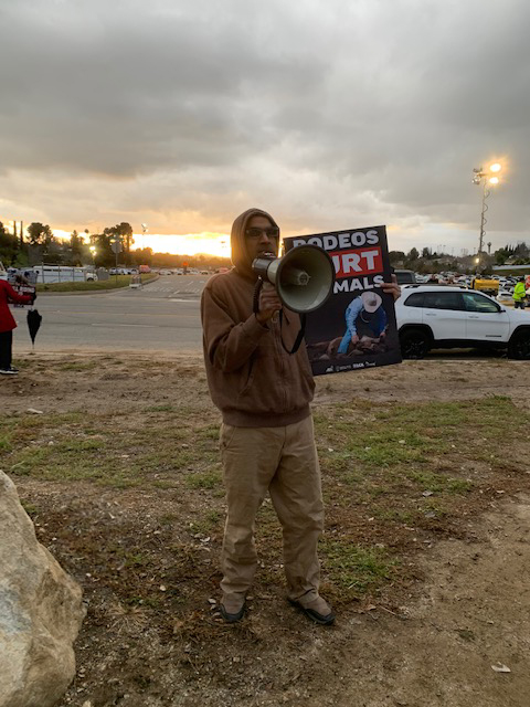 Last weekend, as part of an ongoing LCA campaign to end the rodeo industry, LCA and fellow animal rights activists protested against animal cruelty at the “Yucaipa Rodeo 2024' in Southern California. We won’t stop our investigative campaigning until rodeos are OUT OF BUSINESS!