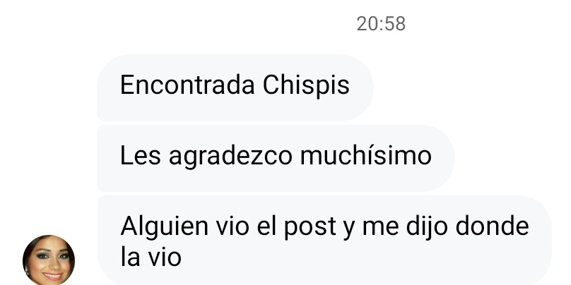 AlertaMePerdi's tweet photo. Nos complace informar que #CHISPIS, ya se encuentra con sus tutores, gracias a tod@s por compartir la información. https://t.co/HLVpnDanzS