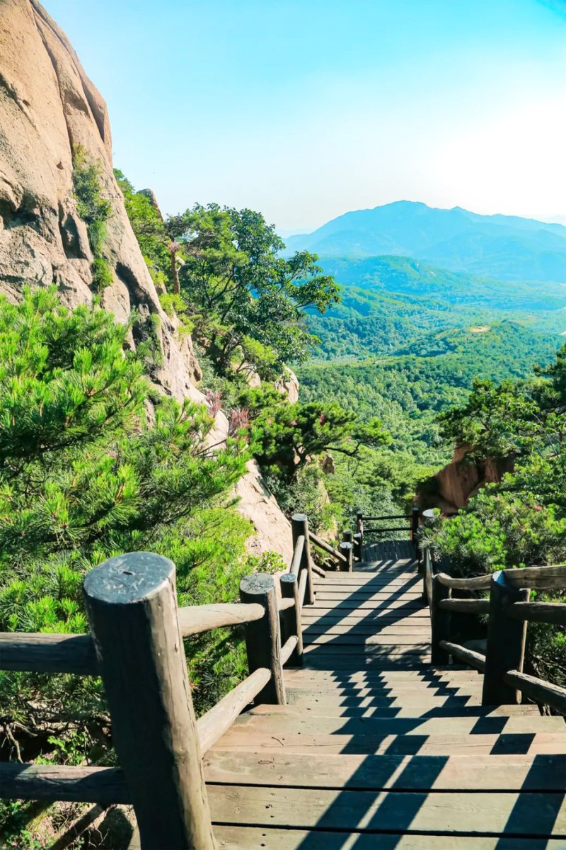 DiscoverYantai's tweet image. On warm and sunny spring days🌞, let's go hiking together and explore #Yantai's picturesque hiking spots. Come and experience the beauty of the mountains and wilderness!🤸🌳🌳 #SpringInYantai 
(Source: Yantai Municipal Bureau of Culture and Tourism)