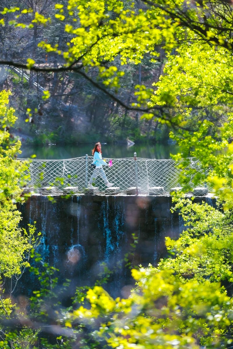 DiscoverYantai's tweet image. On warm and sunny spring days🌞, let's go hiking together and explore #Yantai's picturesque hiking spots. Come and experience the beauty of the mountains and wilderness!🤸🌳🌳 #SpringInYantai 
(Source: Yantai Municipal Bureau of Culture and Tourism)